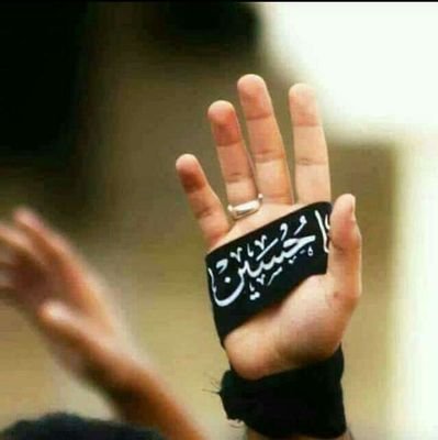 Muhamma83588423's profile picture. learning from Mola Hazrat Ali (A.S),s wisdom.