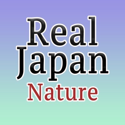 RealJapanNature Profile Picture