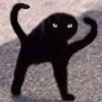 Curcedcat (@carlose21368258) 's Twitter Profile