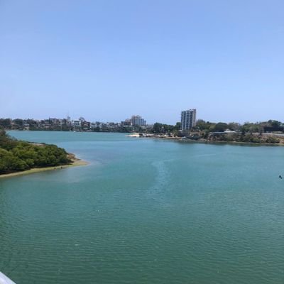 mandygrannel's profile picture. Tunnel vision