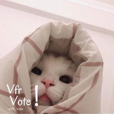 vfr_vote Profile Picture