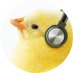 菅野よう子/Yoko Kanno Official (@yokokannoch) Twitter profile photo 菅野よう子/Yoko Kanno Official (@yokokannoch) Twitter profile photo