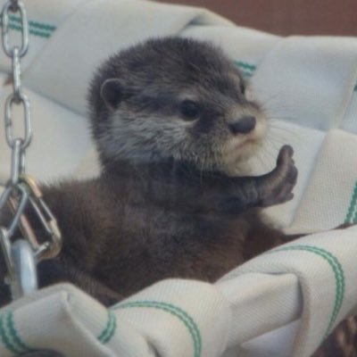 oOo9o1O's profile picture. 밍밍한 유사 전문점 @jihacave