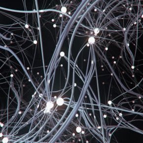 vandadimani's profile picture. Medical imaging, Machine learning, Deep Learning.