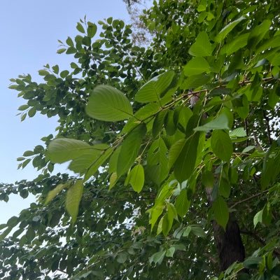 usanghun18's profile picture. 