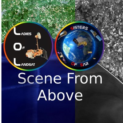 Official tweets from the Scene From Above podcast - Earth observation, remote sensing, geospatial and geeky chat
@flasmendes @yhasmoura @Michelle_Picoli