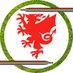 FAW Player Pathway (@FAWPathway) Twitter profile photo