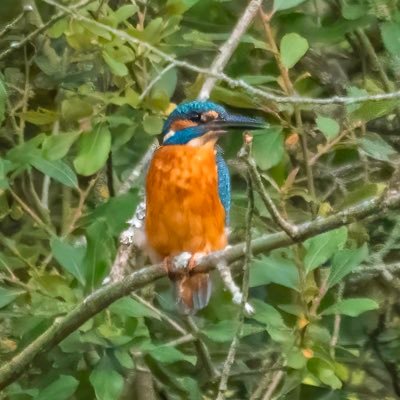 Husband, Father, Photographer and ageing Hippy. Likes a decent pint or two with a taste for Single Malt Whisky. https://t.co/qPC2HElYqj