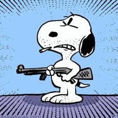 snookill1's profile picture. piou piou Contact : snookillbeats@gmail.com soundcloud https://t.co/aOUs4B51kq