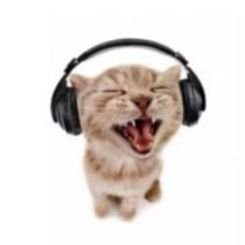 karolxokcal's profile picture. 