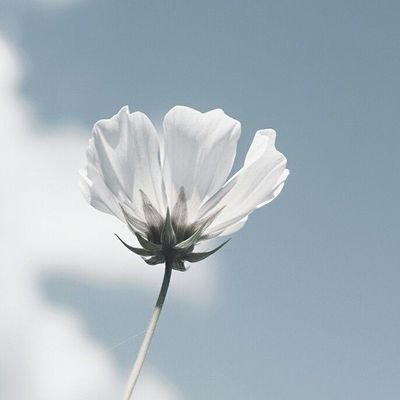 ziziestory's profile picture. 