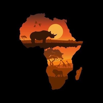 TheAfricanGBill's profile picture. 