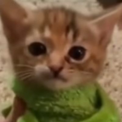 Sunny27447626's profile picture. mother issues