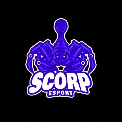 Manager team fortnite 18ans Manager de @HEMIX16Ftn joueur fortnite +5k pr EU Twitter de la structure : @esport_scorp