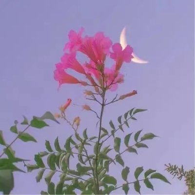 ikvensoner's profile picture. Don't underestimate me. I know more than I say, think more than I speak, notice more than I realise.