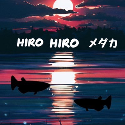 初めまして！メダカを楽しみながら色々飼っています！奥が深く子供3人は好みが分かれますが楽しみながら大切に！がモットーです！お手柔らかにお願い致します♪