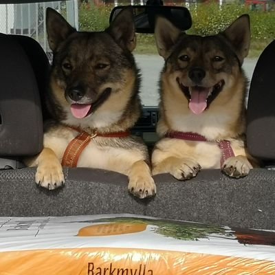 SpjuthBirgitta's profile picture. Politiskt intresserad, 50 år inom vårdsektorn, 70+, deltidsarbetar, glesbygdsbo.