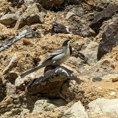 Matt_ellison81's profile picture. Its only me! That is all!