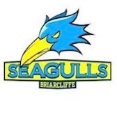 Briarcliffe Seagulls (@gullshcbcbl) 's Twitter Profile