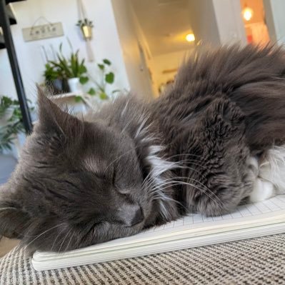 kristenzinger's profile picture. ain’t nothing to it