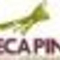 Restaurante (@rest_zeca_pinto) 's Twitter Profile