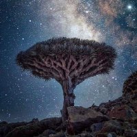 راسم السقطري (@rasim_alsogtai) Twitter profile photo