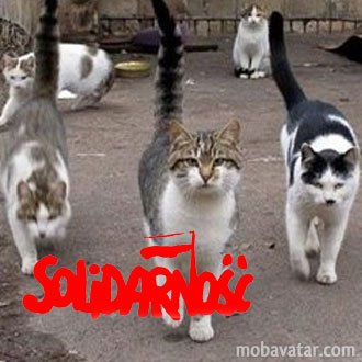 NelBerndon's profile picture. Reality continues to ruin my life.
Count your blessings and give thanks to the Lord God.