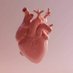 cardiology 🫀 fellow (@cardiacfellow) Twitter profile photo cardiology 🫀 fellow (@cardiacfellow) Twitter profile photo