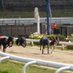 www.greyhoundracingtimes.co.uk (@greyhoundtimes) Twitter profile photo www.greyhoundracingtimes.co.uk (@greyhoundtimes) Twitter profile photo
