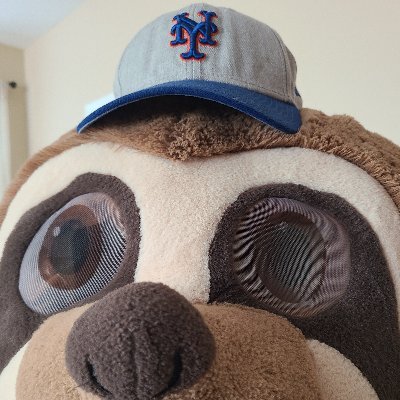 Diehard Mets fan and sloth.