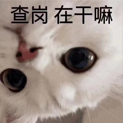Nicoszksd's profile picture. 
