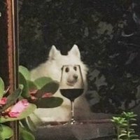 c’est moi 👋🏽 (@moi_cestmoi_me) 's Twitter Profile