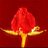 Matil_Darling's profile image