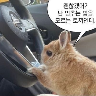 🍿#자빱을_위하여 자빱만 응원해요/진짜 가끔 와서 rt+마음만 와장창 누르고 가는 콘입니다../콘님들을 막 팔로우합니다!! 탐라 가득 빱콘으로 채우고 싶어요