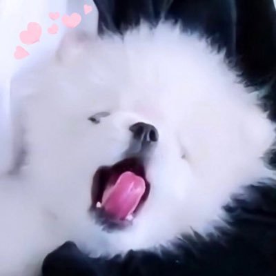 orz7639's profile picture. 