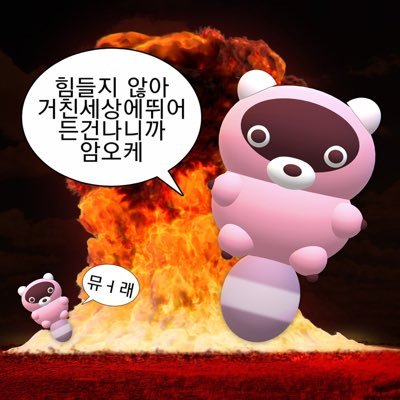 sunrosieb's profile picture. ⬆️20