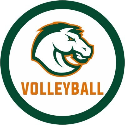 @FDHSvball