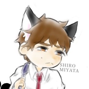 かべさんのプロフィール画像