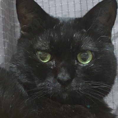 🐾 うさこ(う) 🐾さんのプロフィール画像