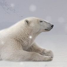 cbbottle's profile picture. やりなおし英語、がんばります。
TOEIC 640(2022.9)→810(2023.3)。子育て中。