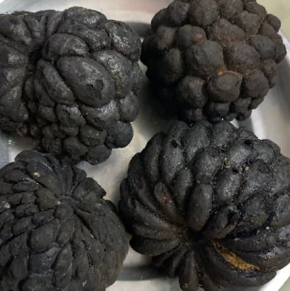 Lefty78347563's profile picture. 