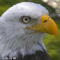 Gump (@gump66_major) 's Twitter Profile