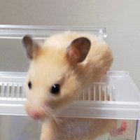 ひろ (@_hirokun_01) 's Twitter Profile