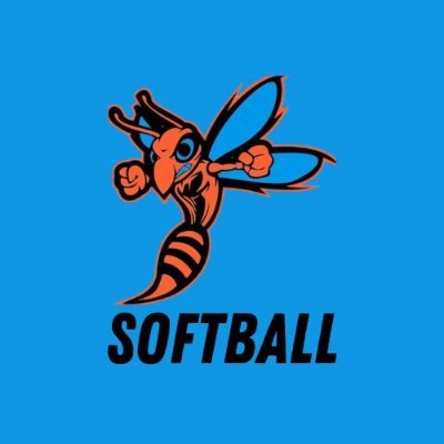 SoftballSgc Profile Picture