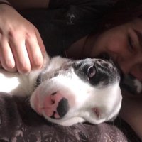 Kealy Stone (@kealystone) 's Twitter Profile