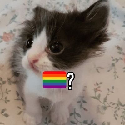 bobieさんのプロフィール画像