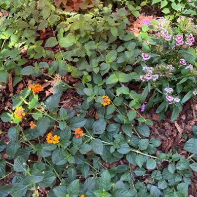 moralsinthecity's profile picture. opinions are mine