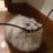 LaAguacates's profile image