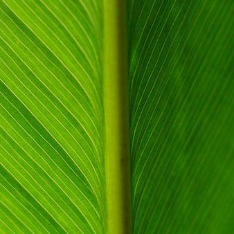 Omelk2's profile picture. 