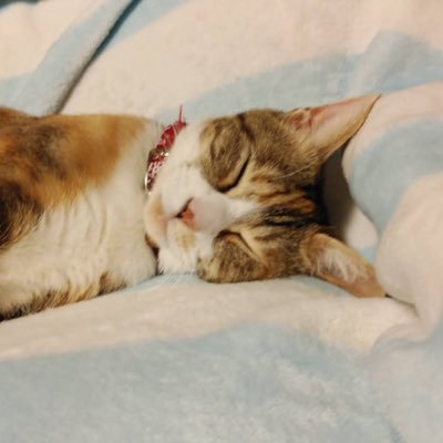 xr_mfnb's profile picture. 